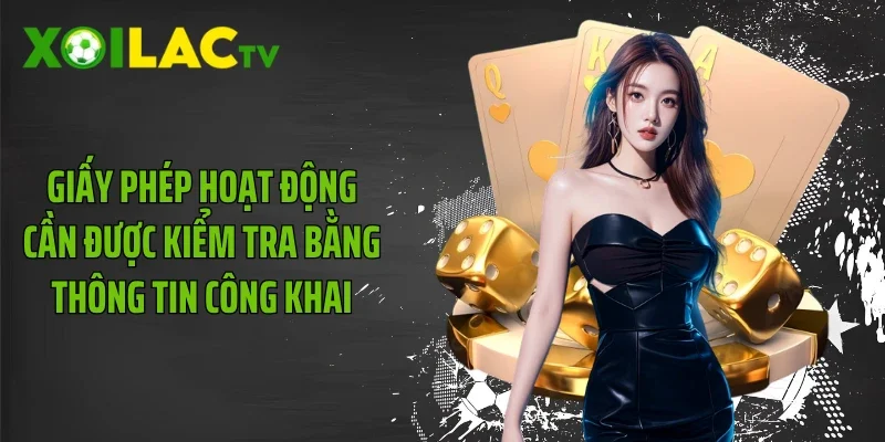 Giấy phép hoạt động cần được kiểm tra bằng thông tin công khai